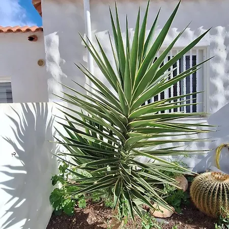 Appartement Casa Molina Costa Calma